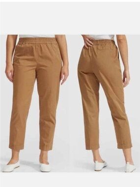 Everlane The Easy Pull On Brown Cotton Women's Chino Pants, Size 6